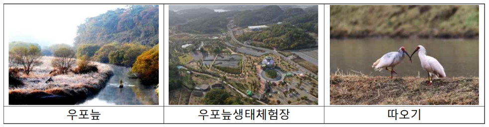 12월 생태관광지 우포늪