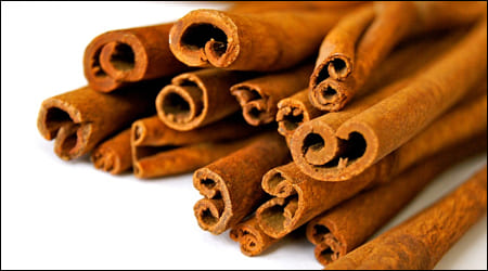 계피의 둥글게 말린 단면