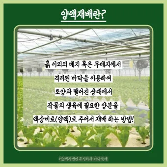 양액 재배 기초 배양액 비율 전기전도도 산도 관리_10