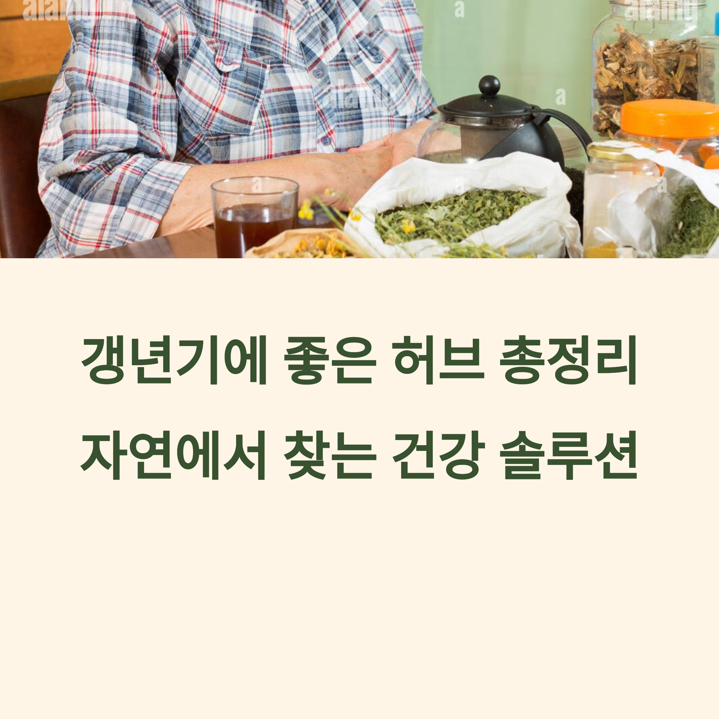 갱년기에 좋은 허브 치료법, 자연에서 찾는 건강 솔루션 썸네일