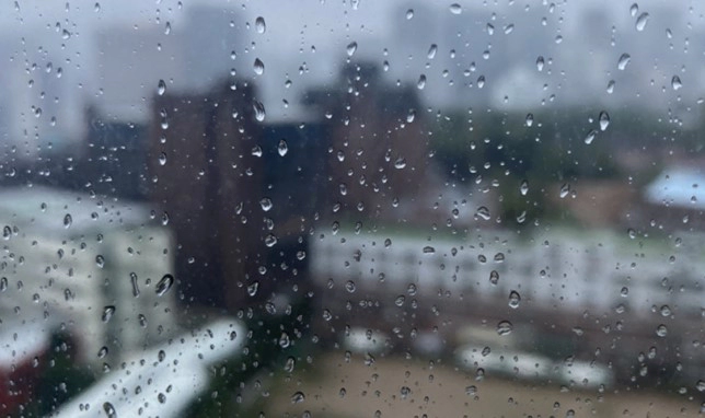 황사비 발생시기 원인