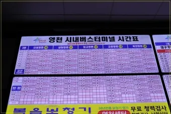 영천 시외버스터미널 시간표 예매 요금_19