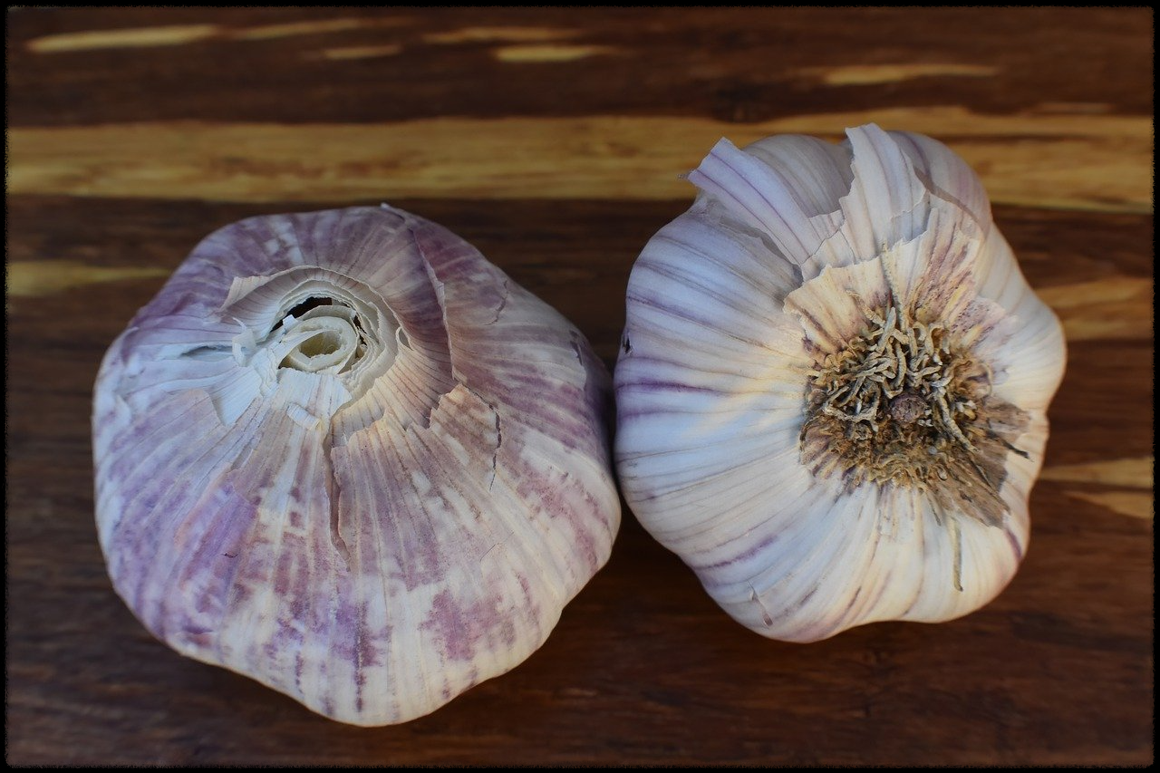 마늘 효능 이미지10