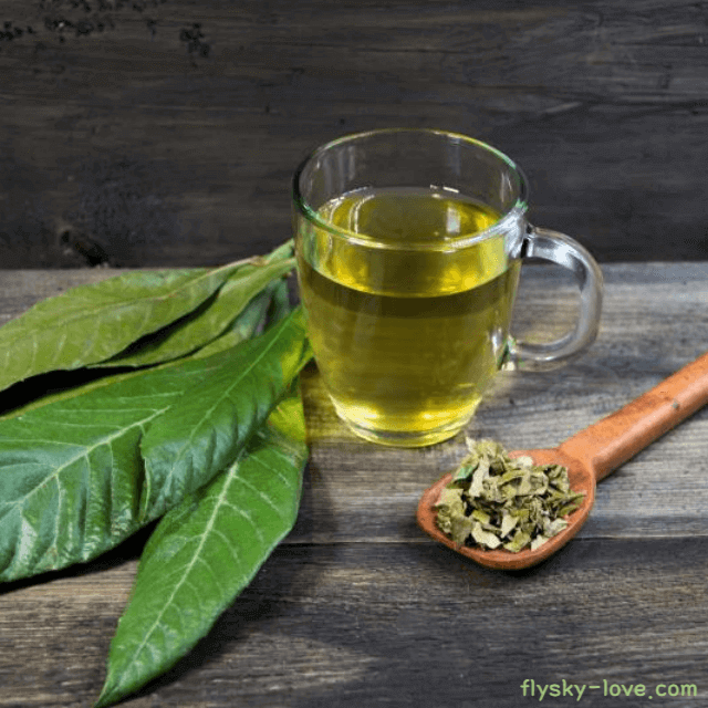 명월초 고르는 법