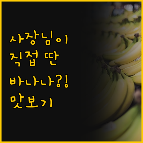 사이판 에메랄드 빌라에서 사장님이 직..