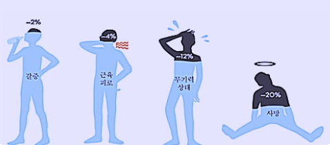 여름철 수분 부족 관련 이미지