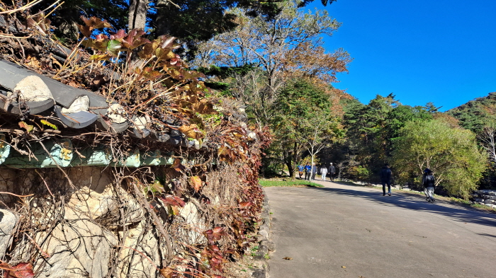 설악산_단풍여행_총정리