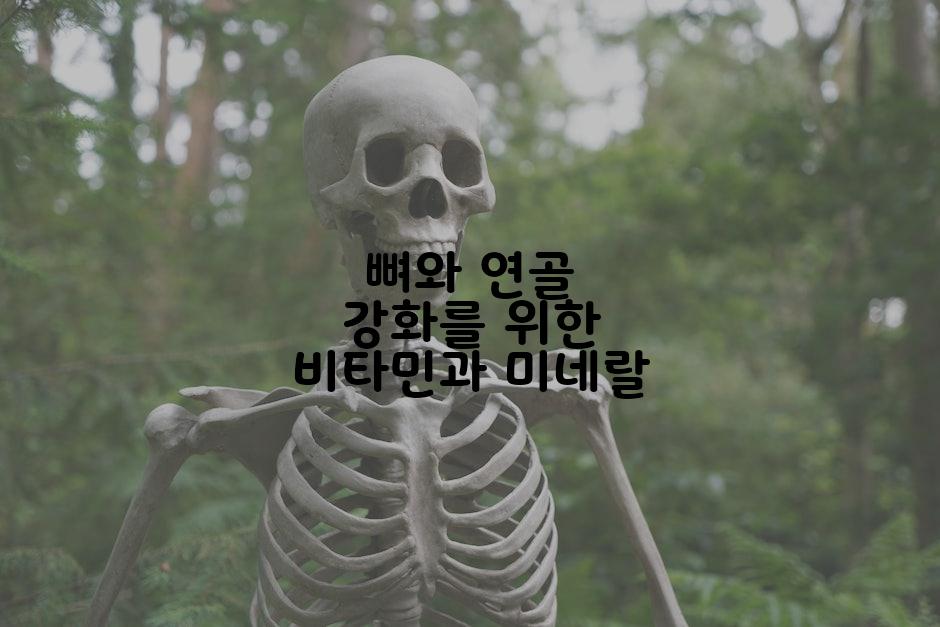 뼈와 연골 강화를 위한 비타민과 미네랄