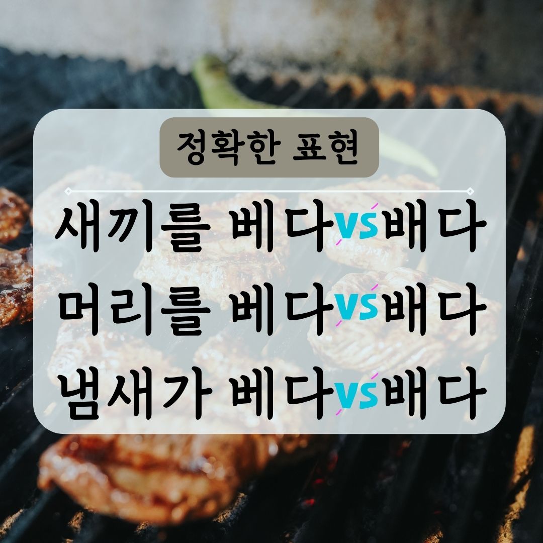 정확한 맞춤법 베다 배다
