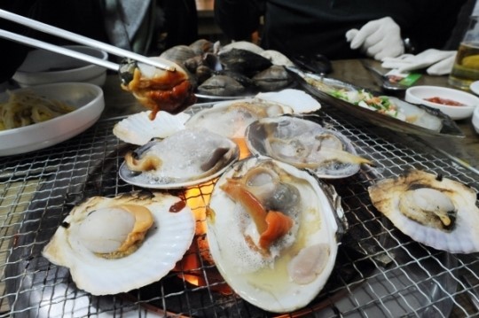 포항 죽도시장 우리 캠핑 왔어요 해산물 판매 국내산 캠핑용 조개 바지락 가리비 구이 맛집 추천