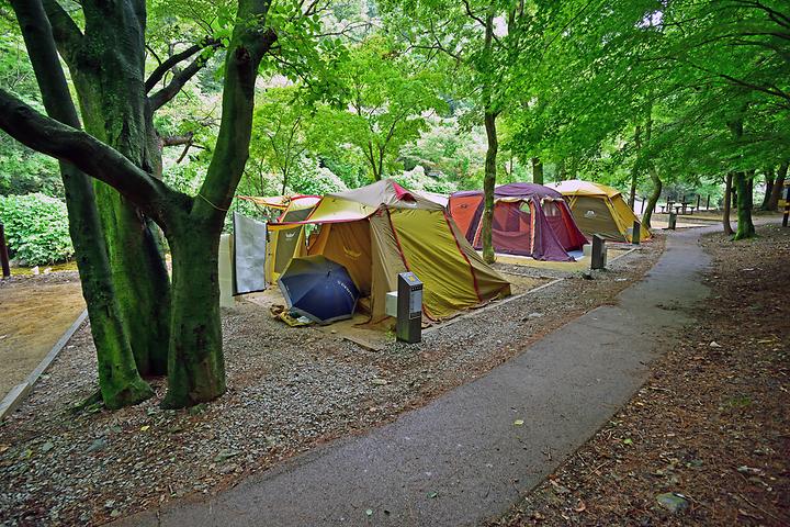 내장산 내장야영장. 전라북도 정읍시 내장동 내장산로 800(내장동 92-2)