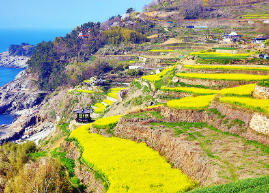 남해 다랭이마을