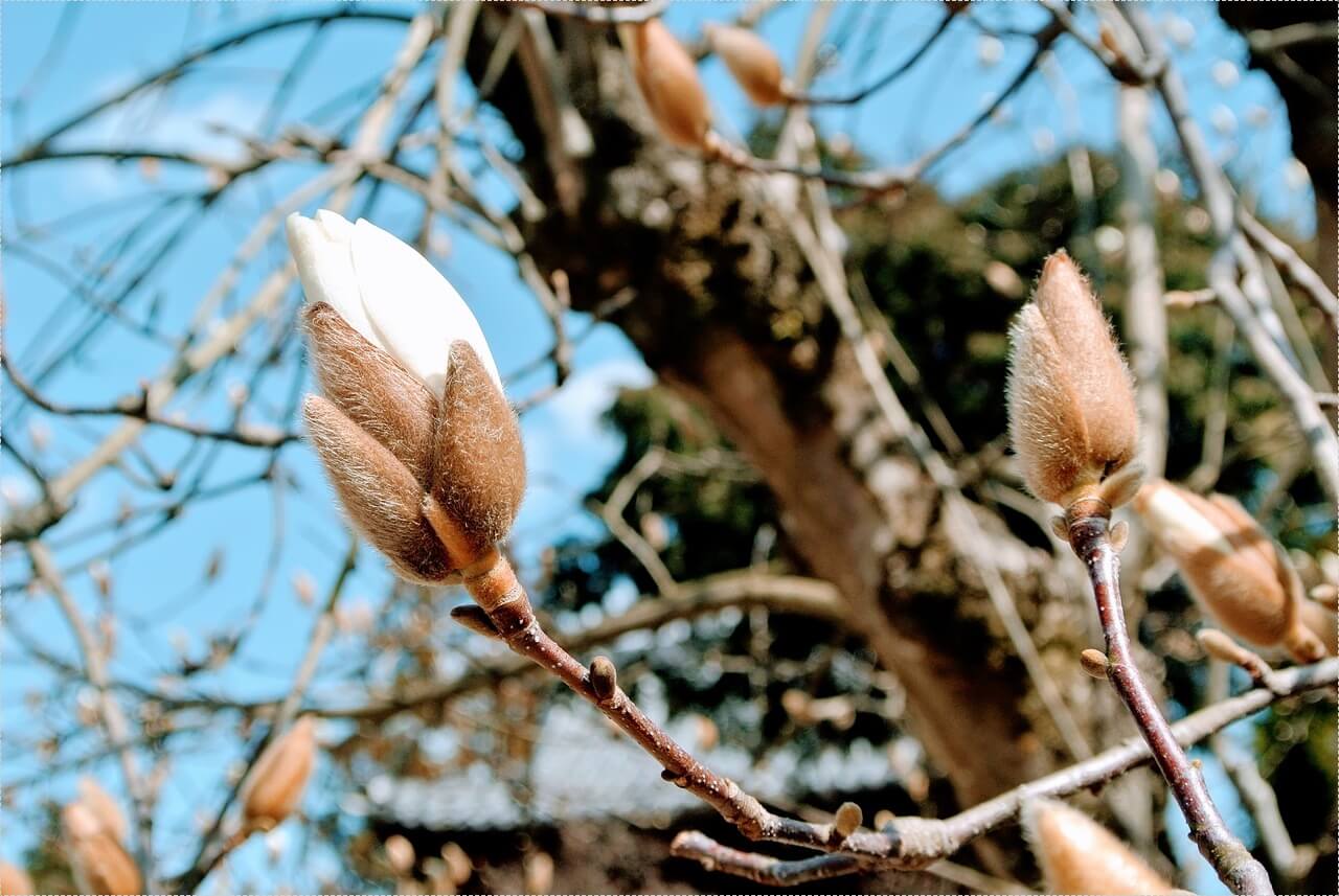 하나은행 정기예금 금리
