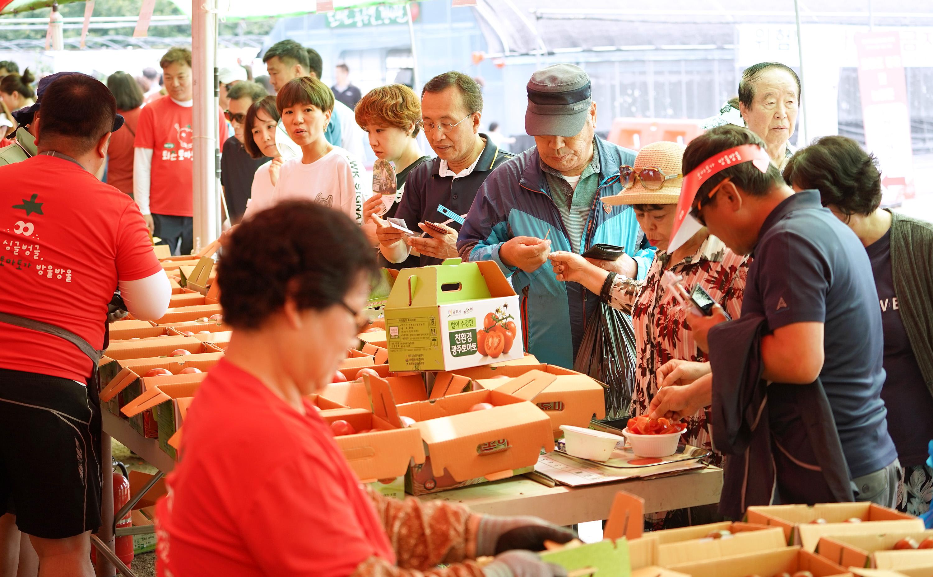 퇴촌 토마토축제