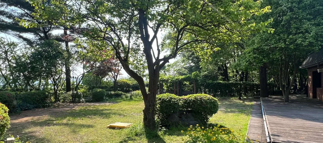 더힐스-남산-웨딩홀-예식장-예약