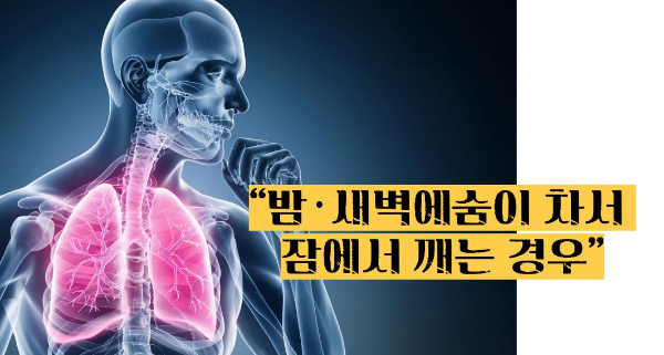 천식 원인 증상