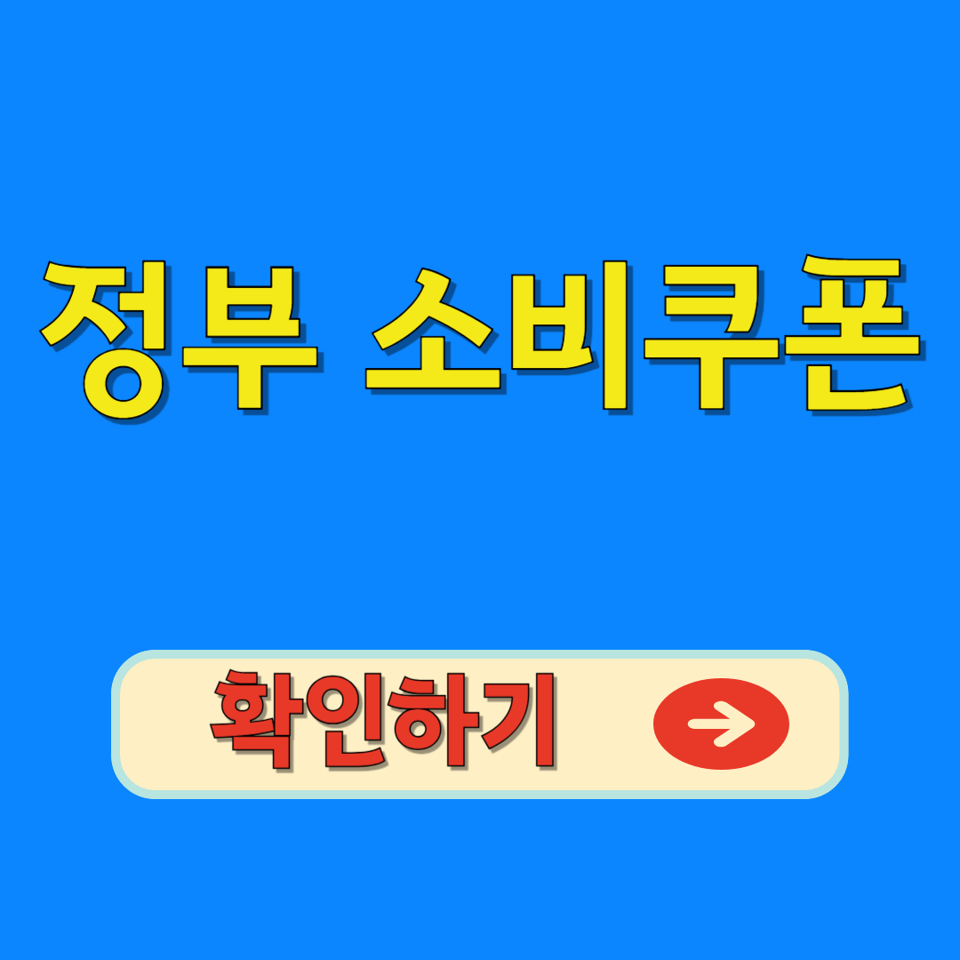 전 국민 소비쿠폰 지급 확인하기