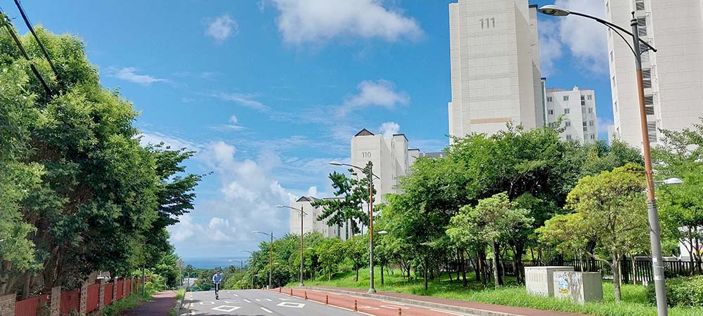 제주 여름소리 매미의 노래