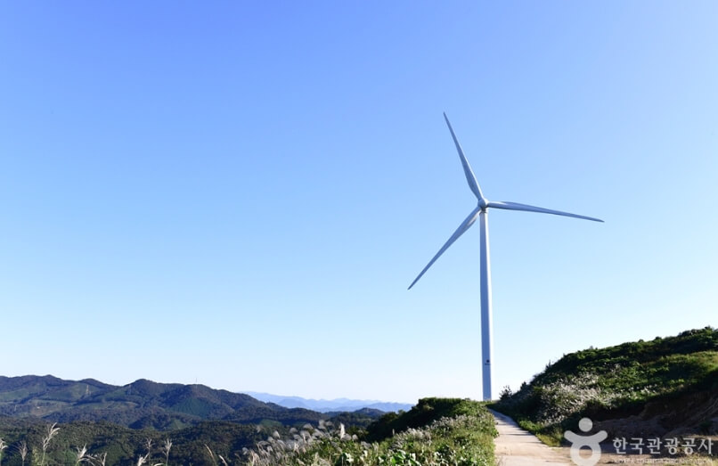 영암 가볼만한곳 베스트 10