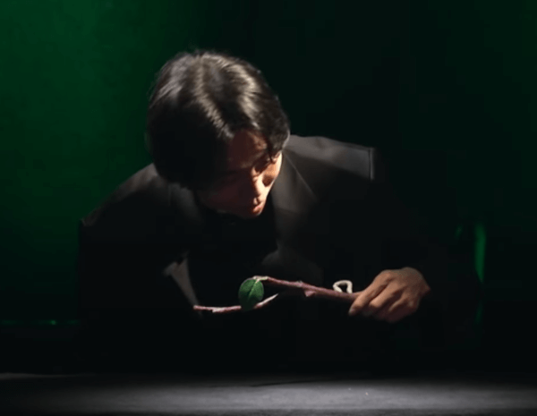 DK 마술사가 나무막대기의 애벌레를 보고 있다.
