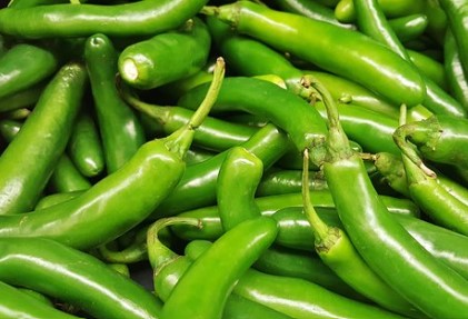 다이어트 꼭 먹어야 하는 음식