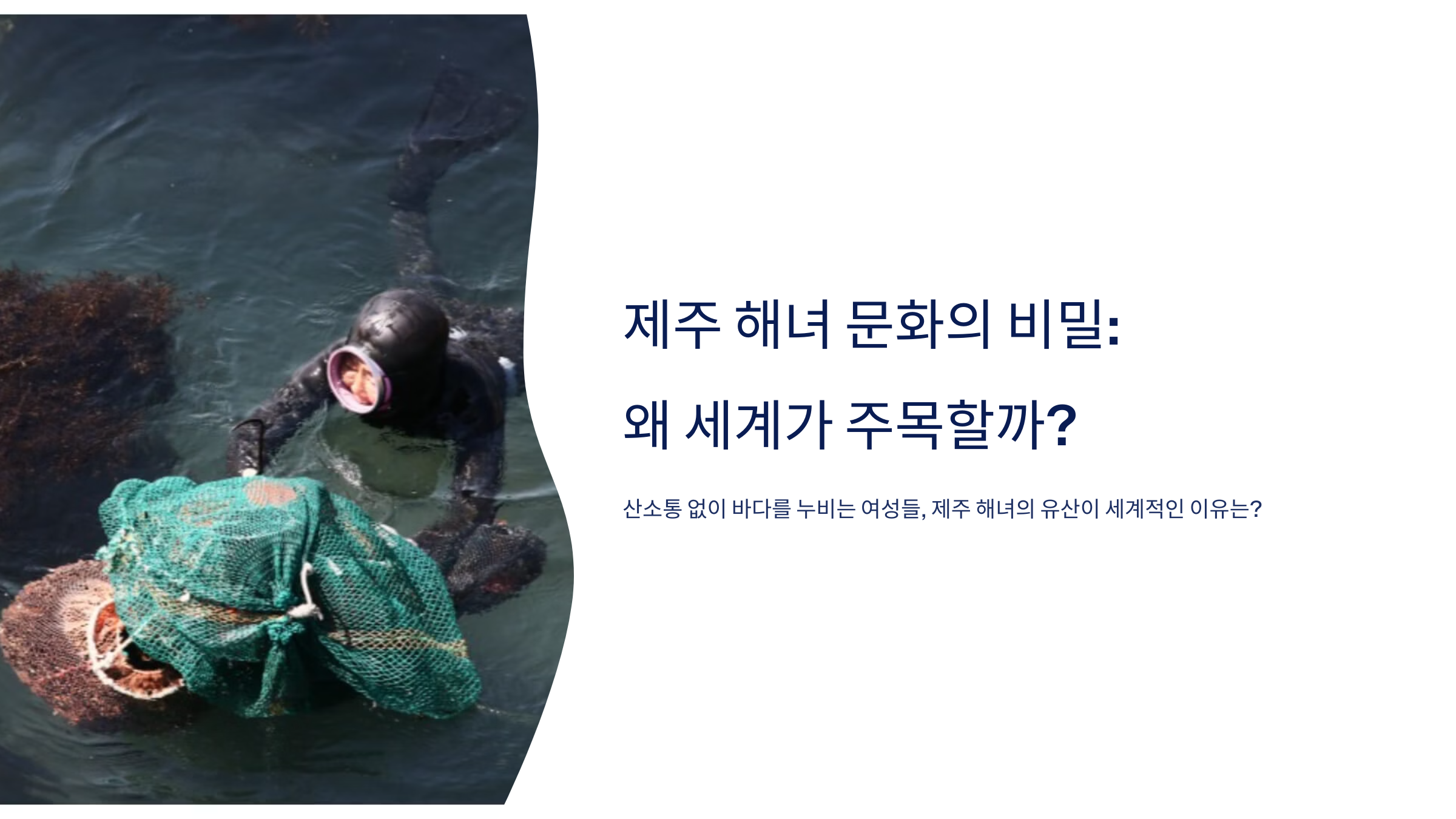 제주 해녀 사진입니다.