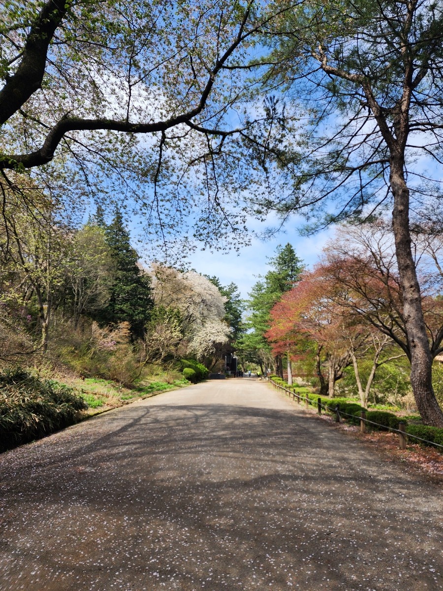 안양 수목원 이미지 사진