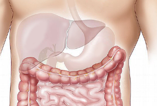 프로폴리스 효능