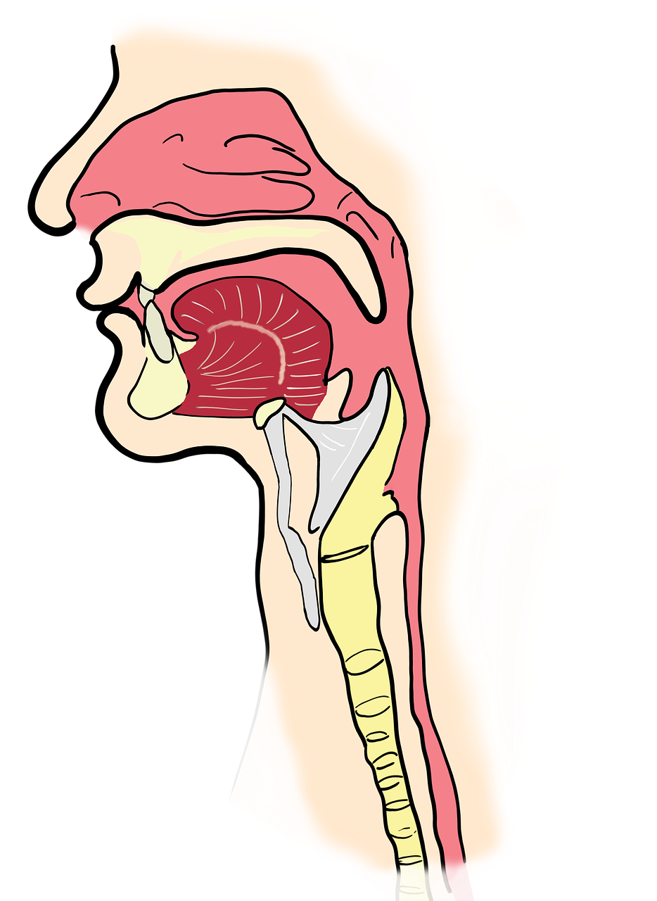 후두암-관련-사진