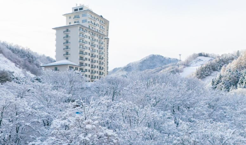 스키장 개장일정