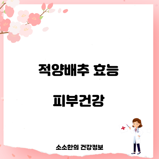 적양배추 효능 피부건강