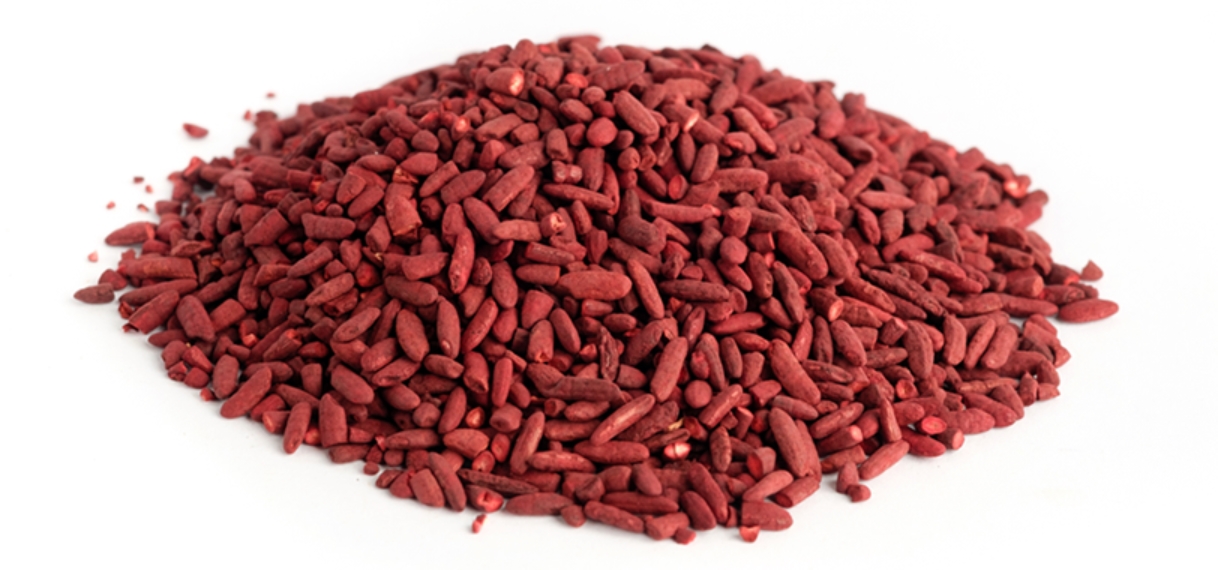 식후 졸음 해결방법 웰씨드 홍국바나바큐텐