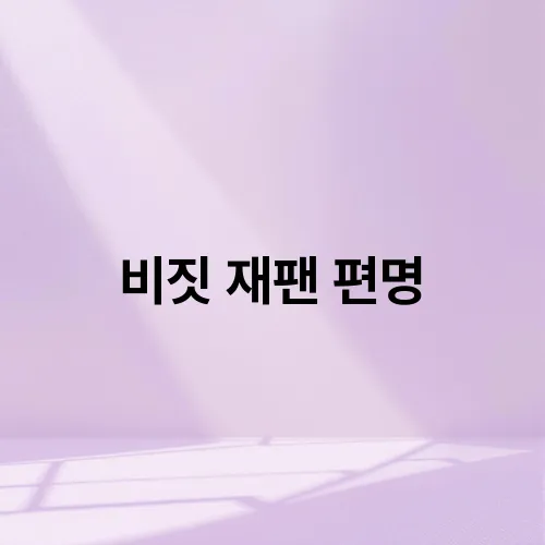 비짓 재팬 편명