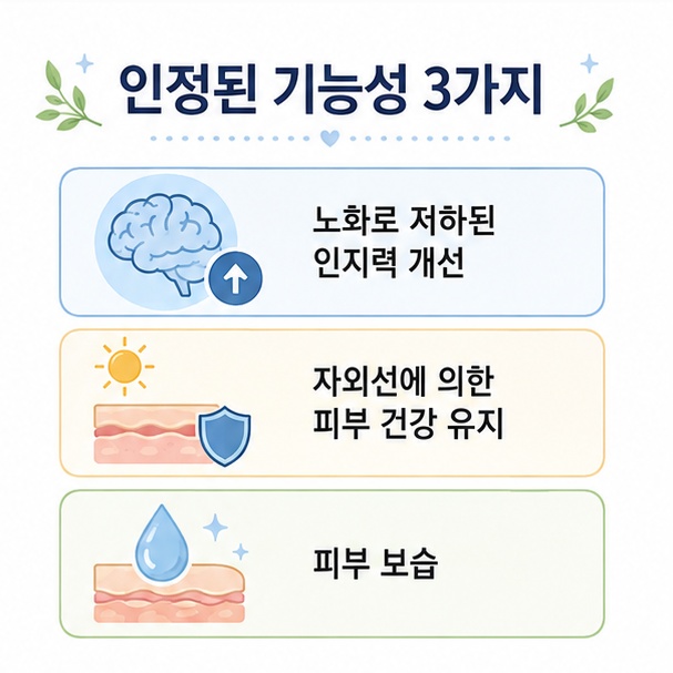 포스파티딜세린의 기능성인 노화로 저하된 인지력 개선, 자외선에 의한 피부 건강 유지, 피부 보습을 정리한 그림