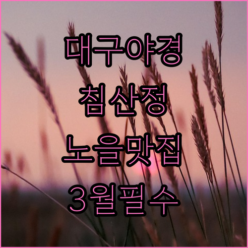 대구 야경 명소 침산정 노을 감상과 ..