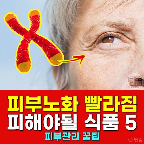 피부노화 원인 식품 피부염증 원인 음식