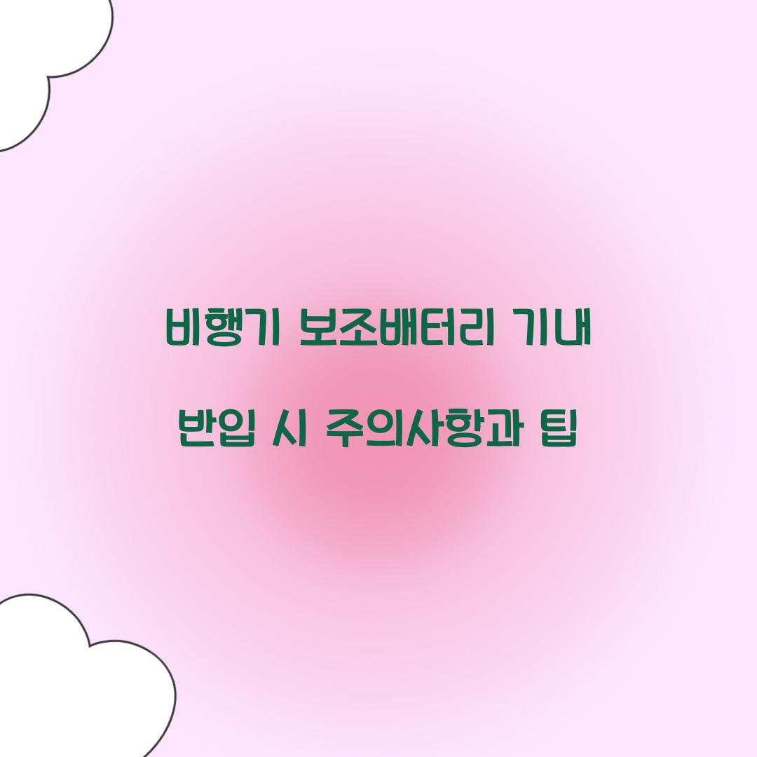 비행기 보조배터리