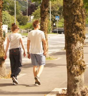 변비에 좋은 음식 해결방법 운동