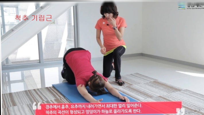 척추 기립근5