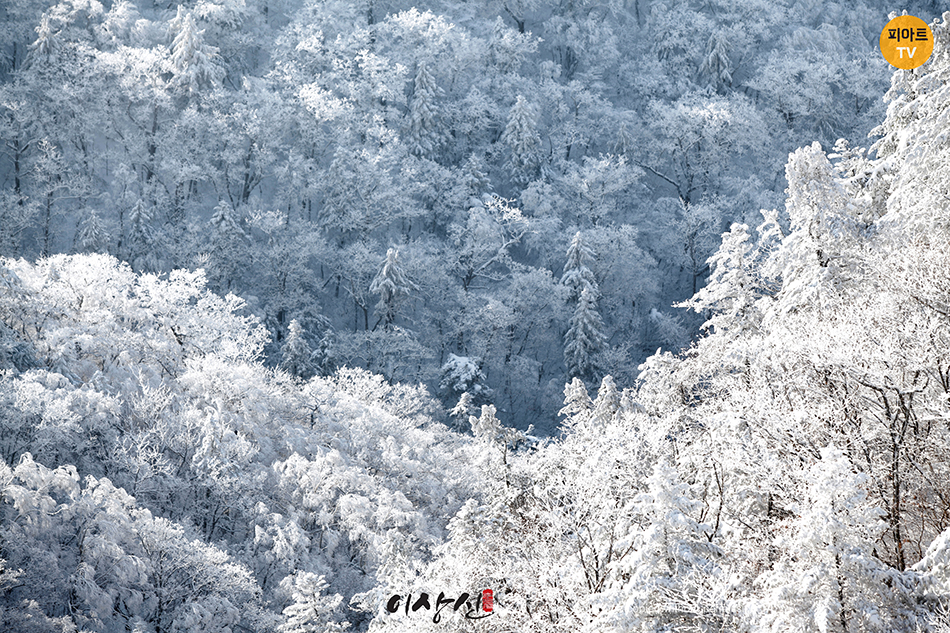 태백산 등산 3 코스