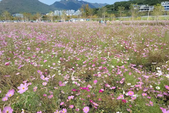 황산공원