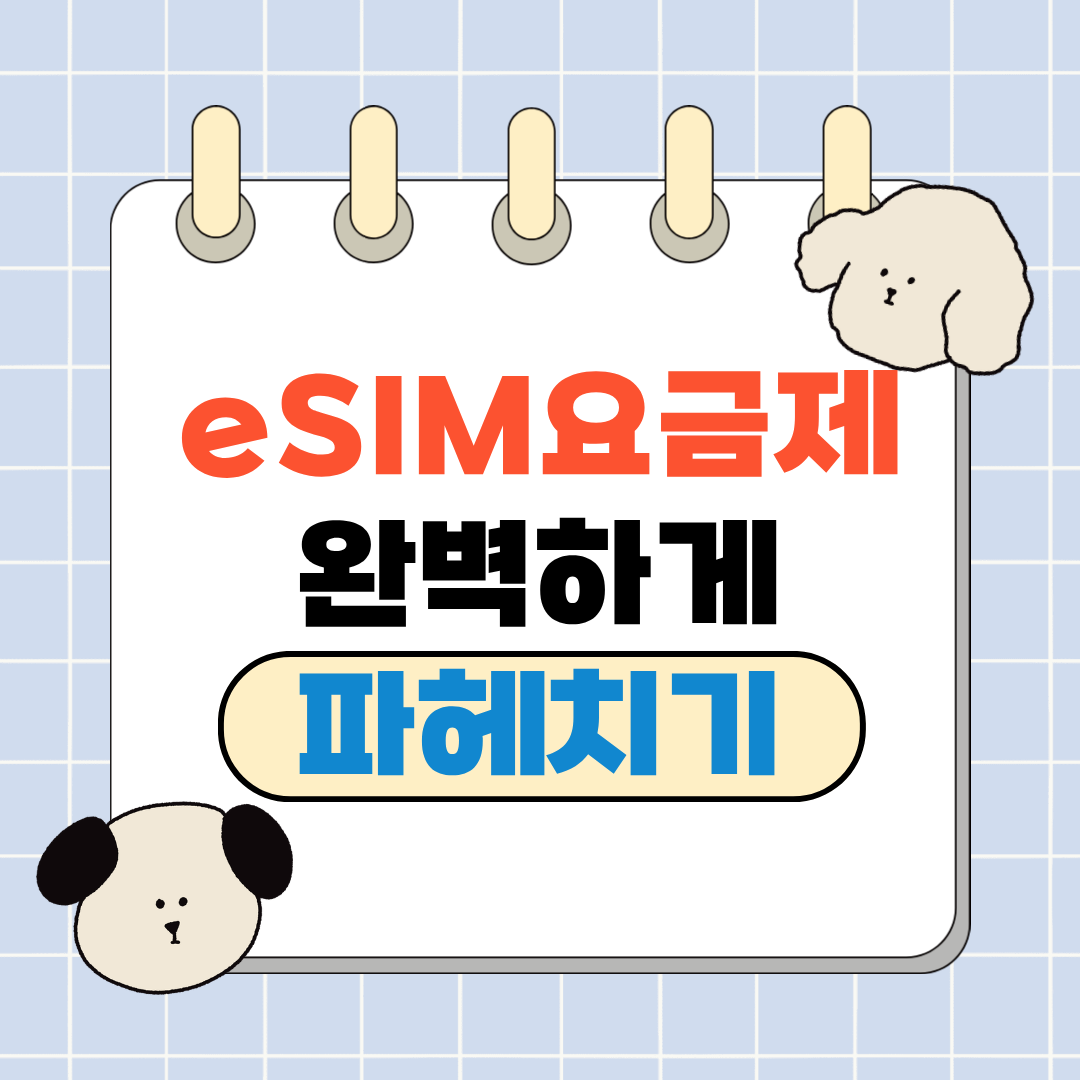 eSIM(e심) 요금제 완벽정리