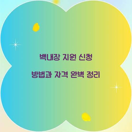 백내장 지원 신청