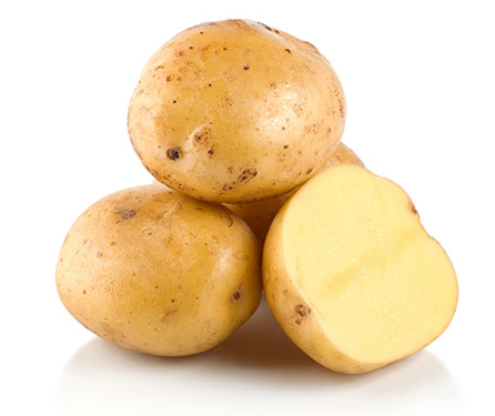 대장내시경 주의사항