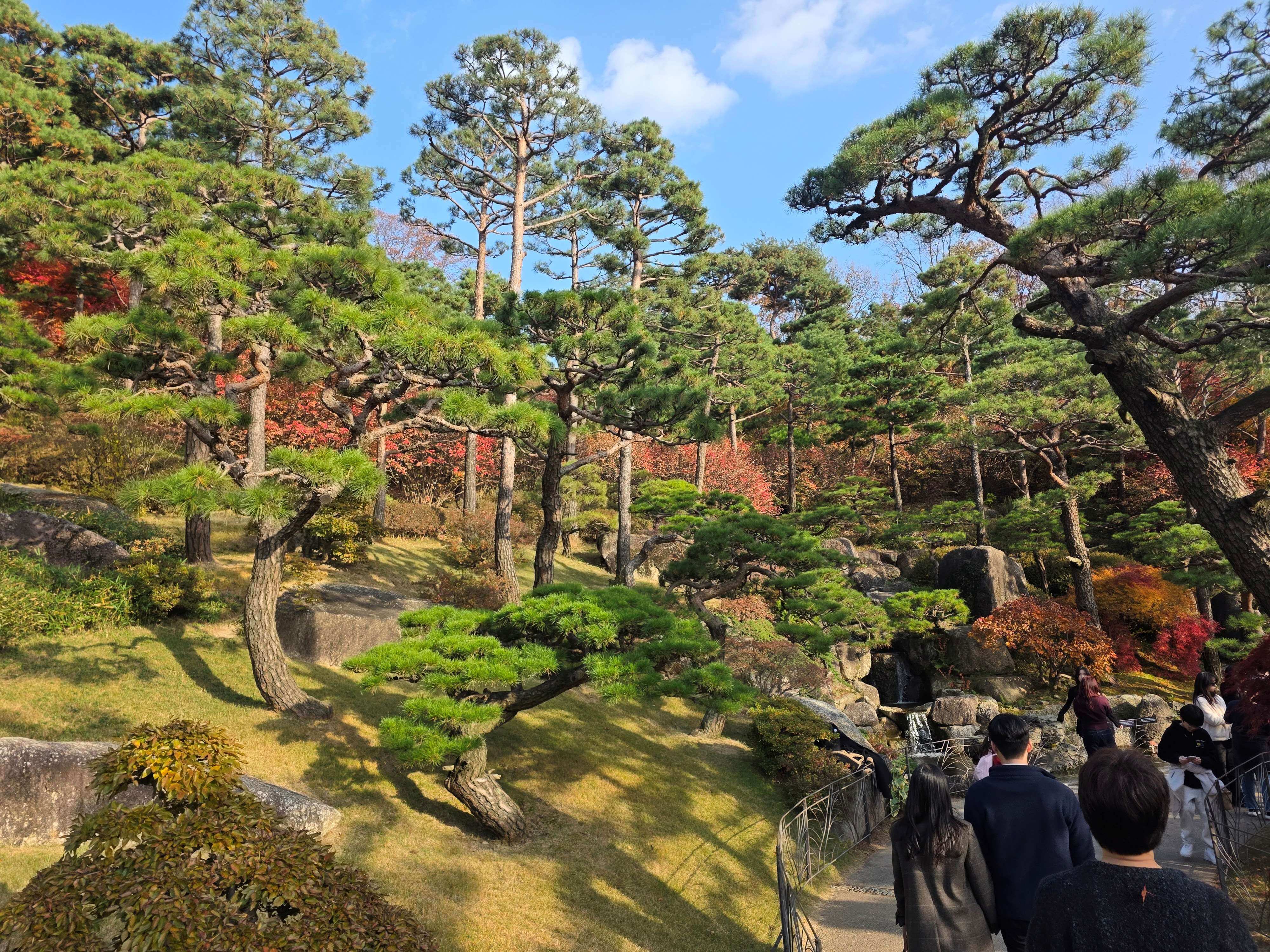 화담숲 예약 (단풍 시즌, 모노레일)