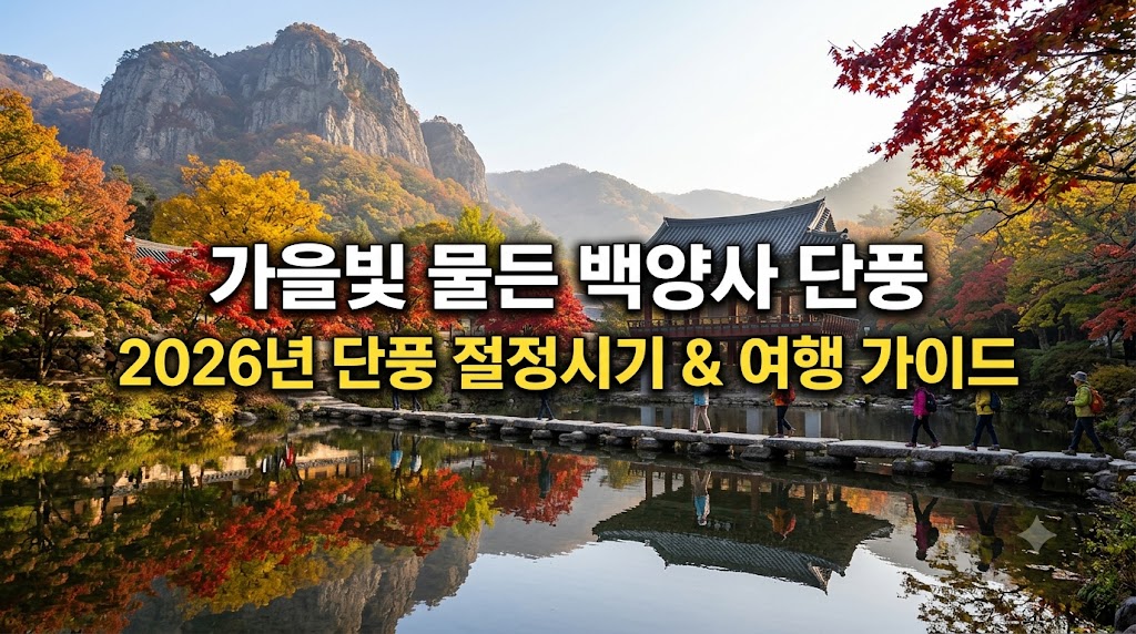 백양사 단풍 절정시기