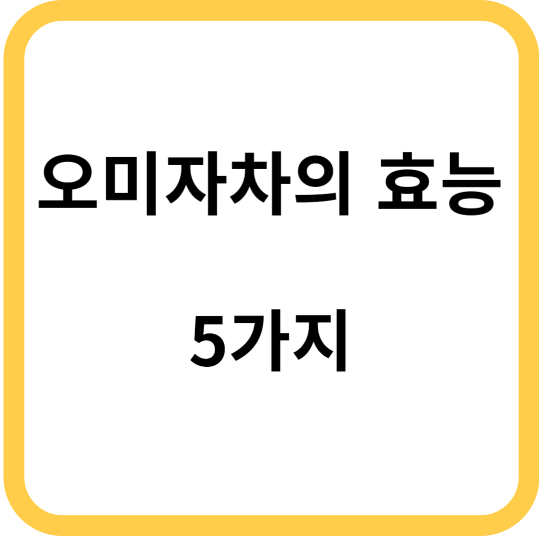 오미자차의 효능 5가지