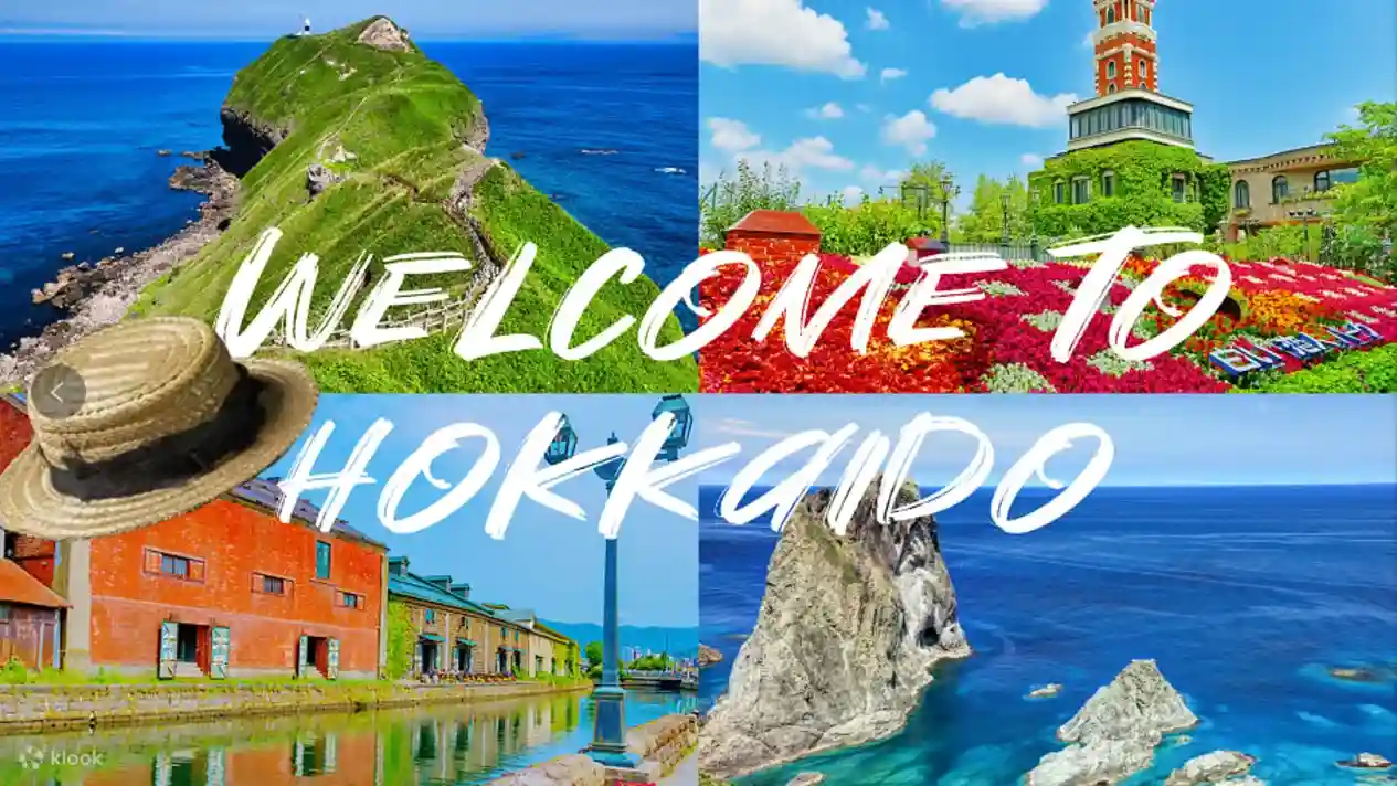 카무이곶·오타루·샤코탄·시로이 코이비토 파크 훗카이도 핵심 투어