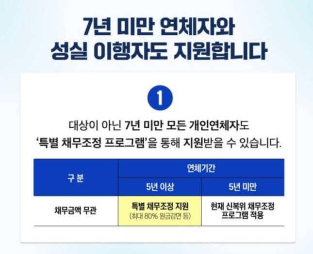 부실채권의 사회적 정리