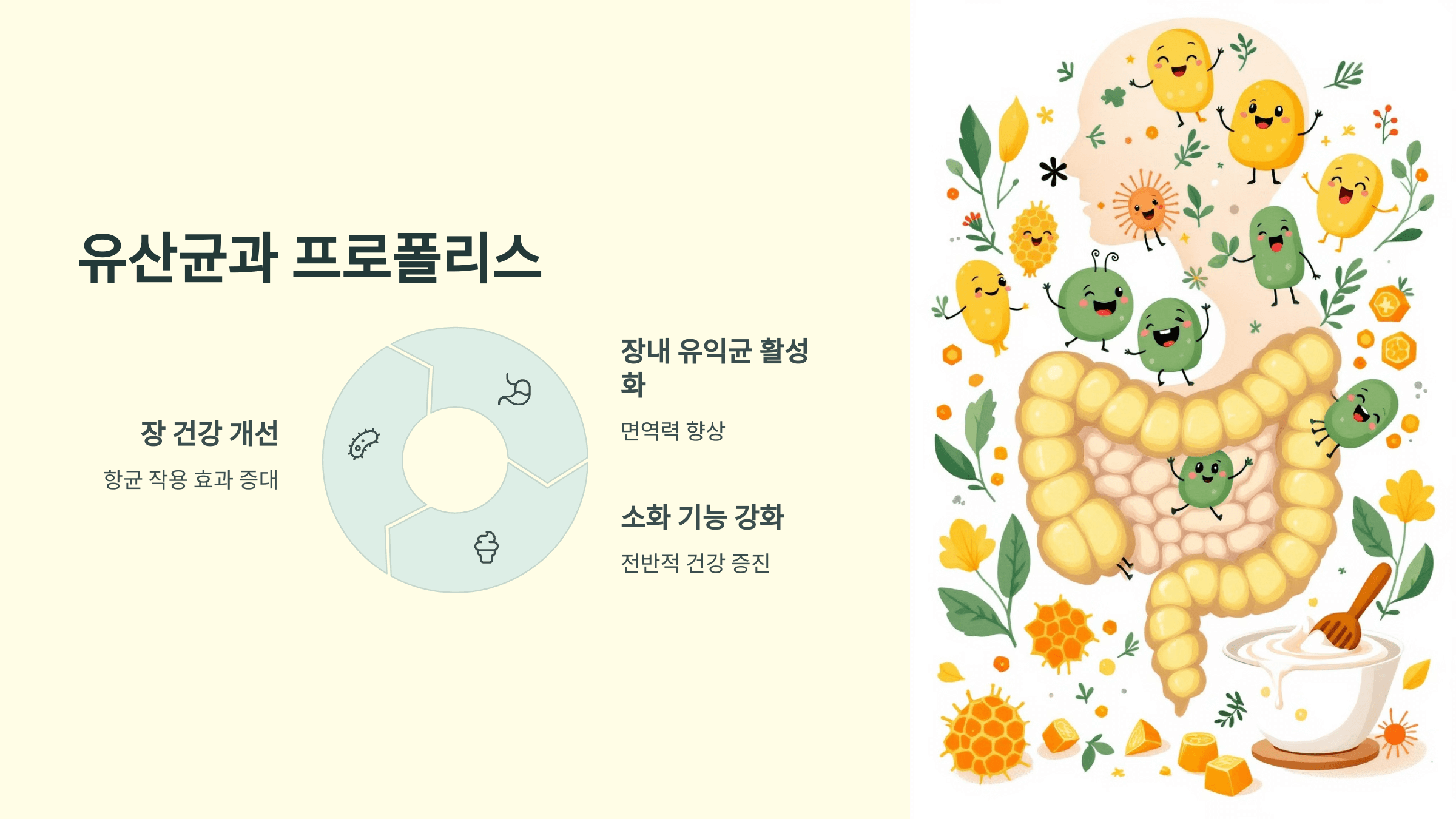 프로폴리스와 관련된 사진입니다.